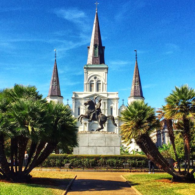 So_focused_  New Orleans LA